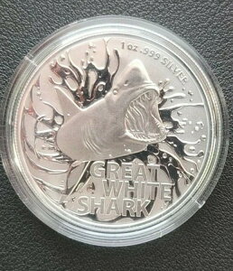 2021N I[XgA zzWU - 1IX .999 Vo[RC - ʃWF -BU