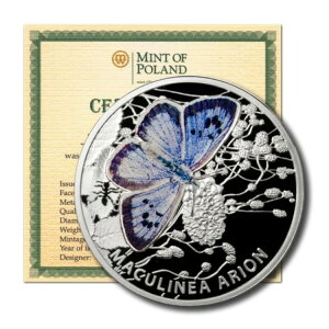 jEGY ^̐ Maculinea arion 1h 2011N J[v[t Vo[NE COA