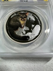 2013-P I[XgA 50Zg J[CYh O[fBO PR 69 DCAM by ANACS Possum