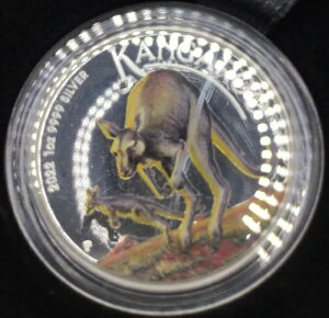 2022N I[XgA JK[ 1IX 1h Vo[ v[t J[RC