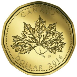 ???? 󏭂ȃJi_ 1 hd [j[A[v[tA~g UNCA2016 N