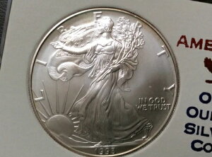 1993N AJ Vo[ C[O ʕčRC fBXvCP[Xt A1119