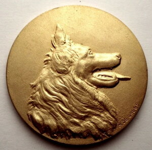 xM[_Ə xM[E^[rAbL_BB19