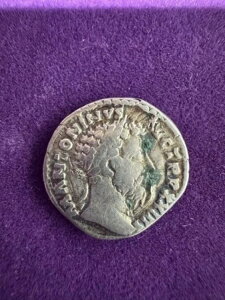 }NXEAEEX݃fiEXA[}  170 NA\ʂ̑͐ϕAF!