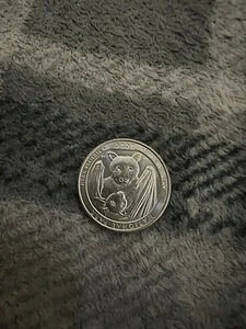 �A�����J���T���I 2020 E �v���g�u�X�E�E�k���������� 25�Z���g