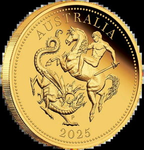 2025NI[XgA\u݃v[tRCp[XǖؐP[X