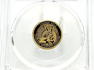 カナダ 2013 25ドル プロングホーン 1/4オンス 金貨 PCGS PR70 ロイヤルカナディアンミント