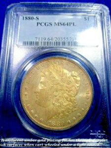 1880-S [KE_[ MS64PL DCAM( VAM-2 LG-S) nj[Ao[g[uLOOKS-DMPLv