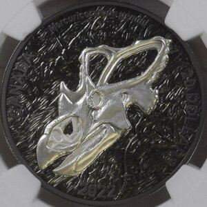 Ji_A2022NA20hA - NGC PF70 - gbv|bv ?? NPgvX̉