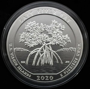 2020-P 5IX Vo[ATBiƏޕtji\go[pAė̃o[Wj