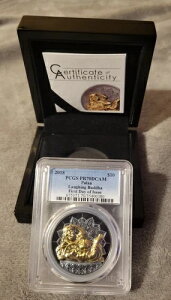 2018�N�p���I 2�I���X/10�h�� �V���o�[ �u���b�N�v���[�t ���t�B���O�u�b�_�BPCGS PR70DCAM FDoI
