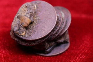 1808NCh10hAh~EK[hi[jDRC6Zbgf炵