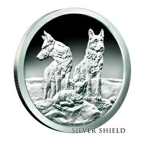 2015�N 5�I���X AWARE AND PREPARED PROOF COA SILVER SHIELD 777�t��