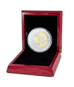 2013N 50h 5IX - Vo[[v[t25NLO - RCM