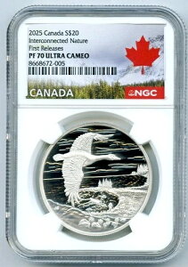 2025N 20h Ji_ 1IX Vo[ tCOO[X NGC PF70 v[t C^[RlNebh lC`[ FR