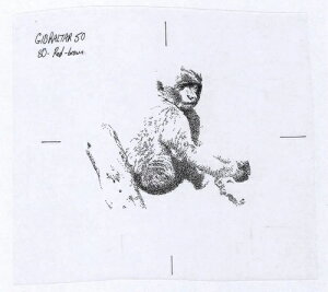 ジブラルタルの猿 50ポンド 1995年 P28 アーティストエッセイ スケッチ プルーフ