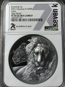 2021�N�^���U�j�A 1500�V�����O �O���[�C���O�E�A�b�v�E���C�I���Y NGC PR-70 DCAM 2�I���X �V���o�[