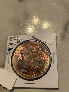 1878�N�� �����K����� PL �E���g���n�C�O���[�h �����X�^�[�g�[��
