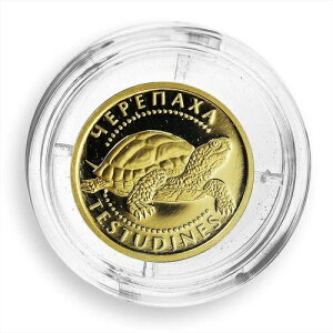 ENCi 2 tj T ̒mb̏ے  2009