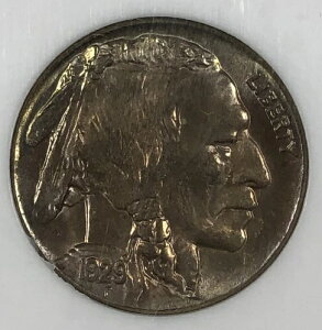 1929年製バッファローニッケル。0.05。NGC MS65。魅力的。