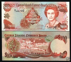 PC} 100h P-20 1996N GUxX ? Vbv^[g UNC 