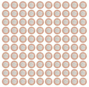 iCWFA 2iCA2006NAKM #19AVi X 100 PCS