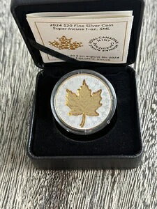 VIJi_ 2024N 20h X[p[CL[Y [v[t SML bL 1IX 