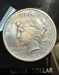 1921N nC[t s[X_[ ~gXe[g 1h ?? ΐ ʃ~l[gG[