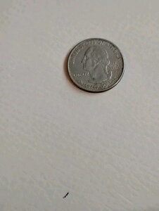 2005 P USA ウェストバージニア州 25セント硬貨