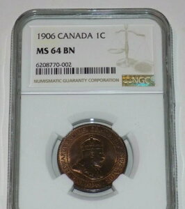 NGC CANADA Ji_ 1906N yj[ MS64 BN MS 64 UNC 1Zg O[fBOςݔFRC
