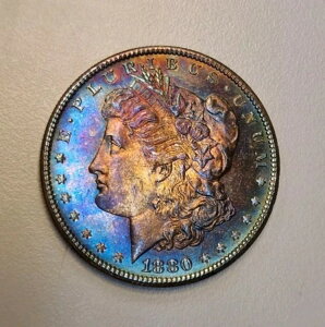 1880-S �����K����� 1�h�� �����X�^�[���C���{�[�g�[�j���O�ABU�u�����A���g�A���T�[�L�����[�g