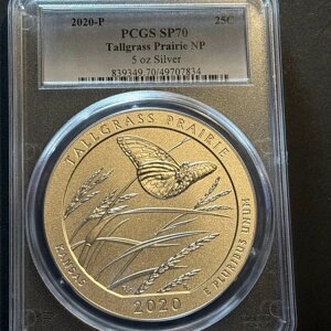 2020-P 5IX AJ U r[eBt g[OX v[[ NP PCGS SP 70 *334 POP