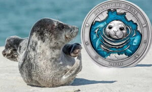 S}tAUV A_[EH[^[[h 3IX  5h oohX 2020N - s 999