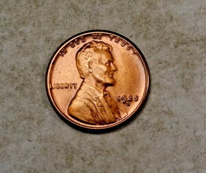 1925-S �����J�[�� �E�B�[�g �Z���g �y�j�[ * �`���C�X BU ���b�h/BN * XW780