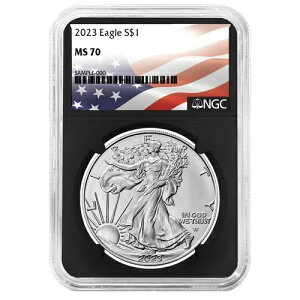 2023N 1h AJ Vo[ C[O NGC MS70 tbOx gRA