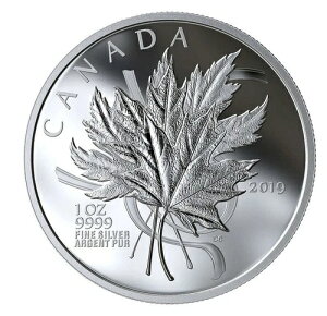 2019NJi_20h݁F郁[v[t