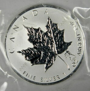 2004�N�J�i�_�V���o�[���[�v�����[�t?�����V�����̃v���C�x�[�g?���o�[�X�v���[�t�~���g���J��