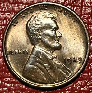 1929N J[ EB[g Zg AU g[ EbfB sK؂ȍG[RC