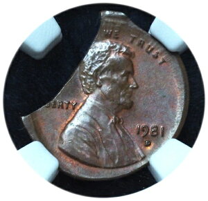 1981-D J[LOكZg gvG[ u[hXgbN Nbvh MS64 BN NGC