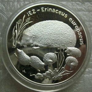 |[h 20YEHeB` 1996N  v[t nlY~ q