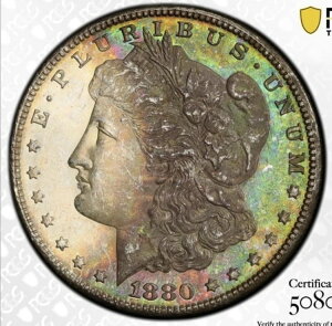 1880-S MS63 PCGS �����X�^�[�g�[�� �����K���_���[ �N���Z���g �g�D���[�r���[ �O���[�� ���C���{�[