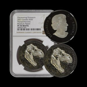 Ji_B2021NA20hA - NGC PF70 - gbv|bv?? _̉