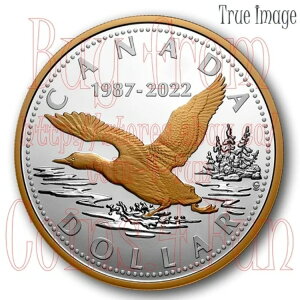 1987-2022 }X^[YNu #8 35NLO [j[ $1 j[AVo[hRC