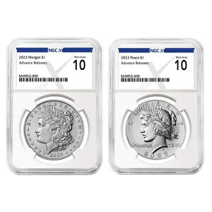 2Zbg - 2023N 1h Ks[X Vo[_[ NGCX MS10 AR Xx