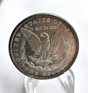 1886NK݁ȀԂł͖őɌȂf炵i