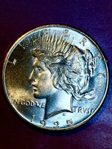 1925Ns[X_[\bhWFBU + + 2025O[V[g$2100$400