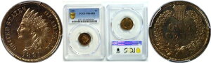 1891N 1Zg CfBAwbh Zg v[t PCGS PR-64 RB
