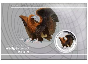 2025N I[XgA EFbWe[C[O 1IX  J[ RC J[h L.E. 2500