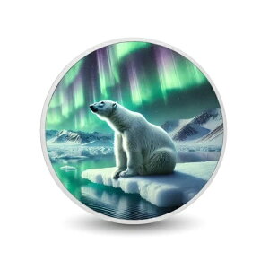 2025NJi_ 1IX 9999 Vo[ BU K[fBAEIuEUEA[NeBbNEO[ J[CYh