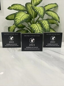 AJC[O 2021 1IX   21EGN 薁dグ